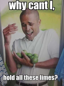 why cant I, hold all these limes
